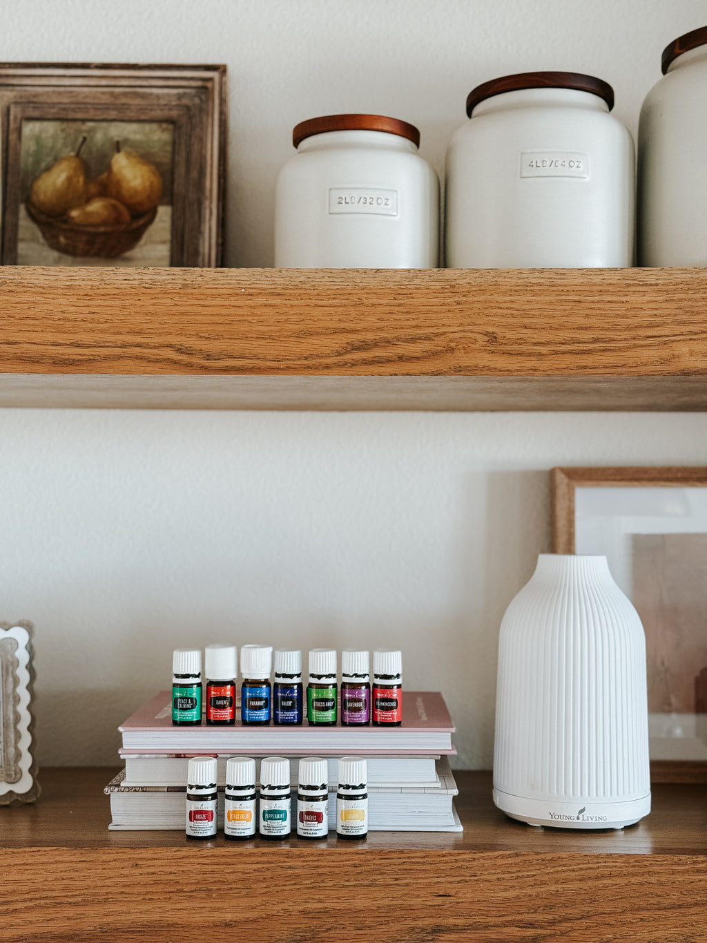 Premium Starter Bundle With Adobe Mist Diffuser