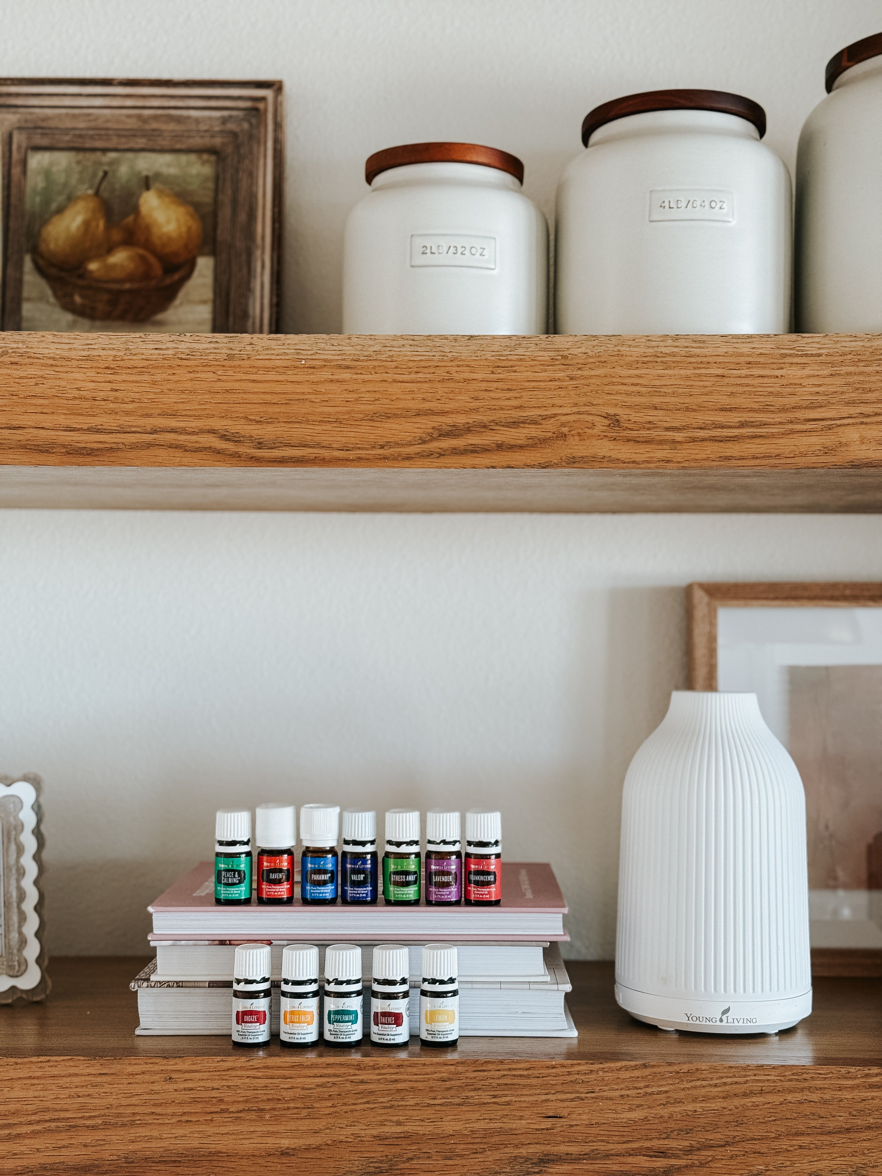 Premium Starter Bundle With Adobe Mist Diffuser