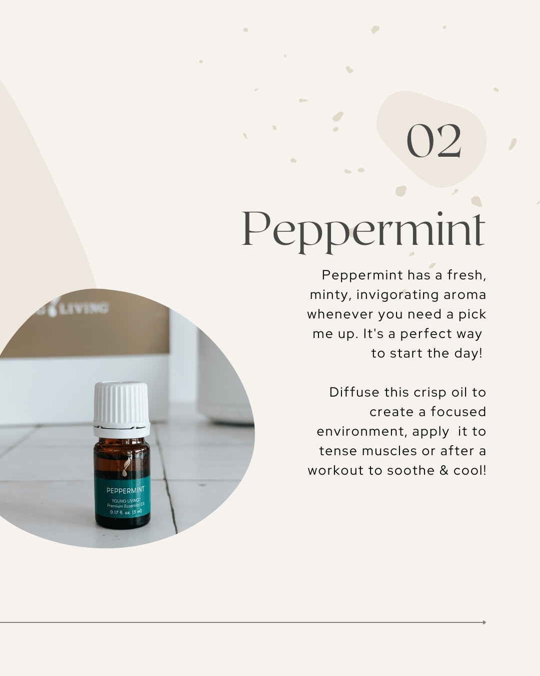 Make A Shift Essential Solutions Kit