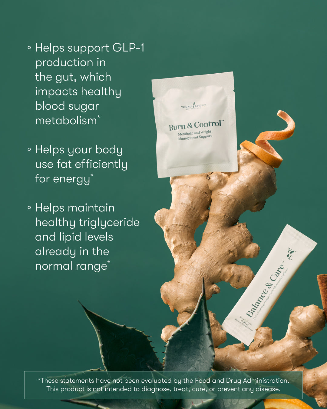 Balance & Burn System