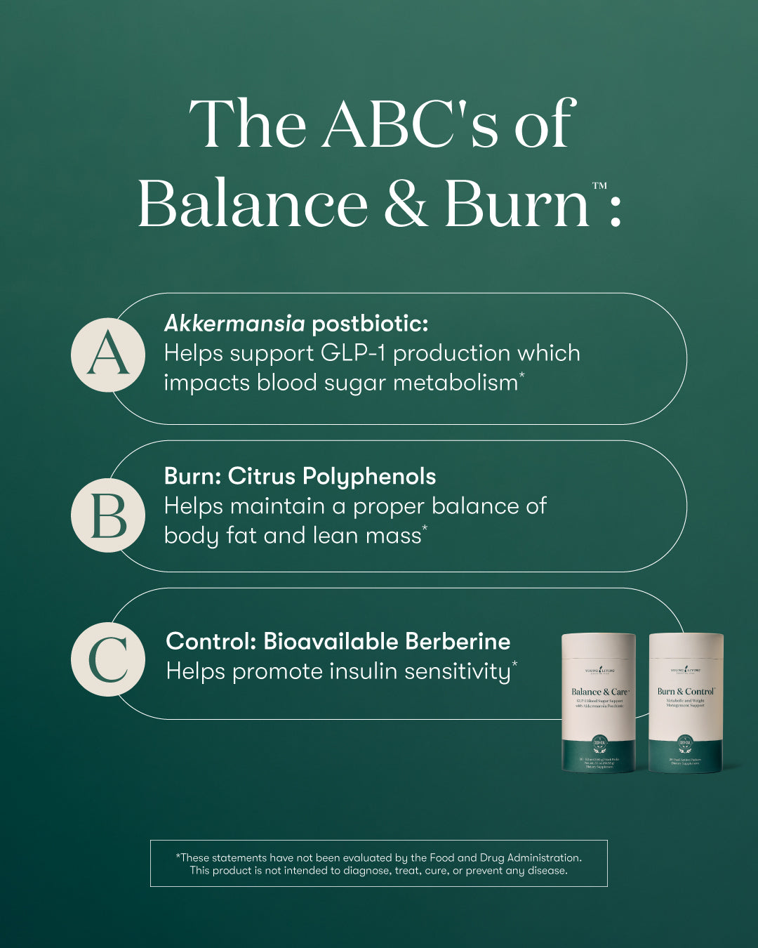 Balance & Burn System