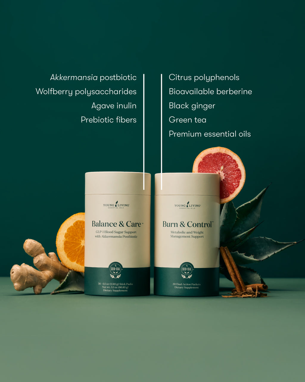 Balance & Burn System