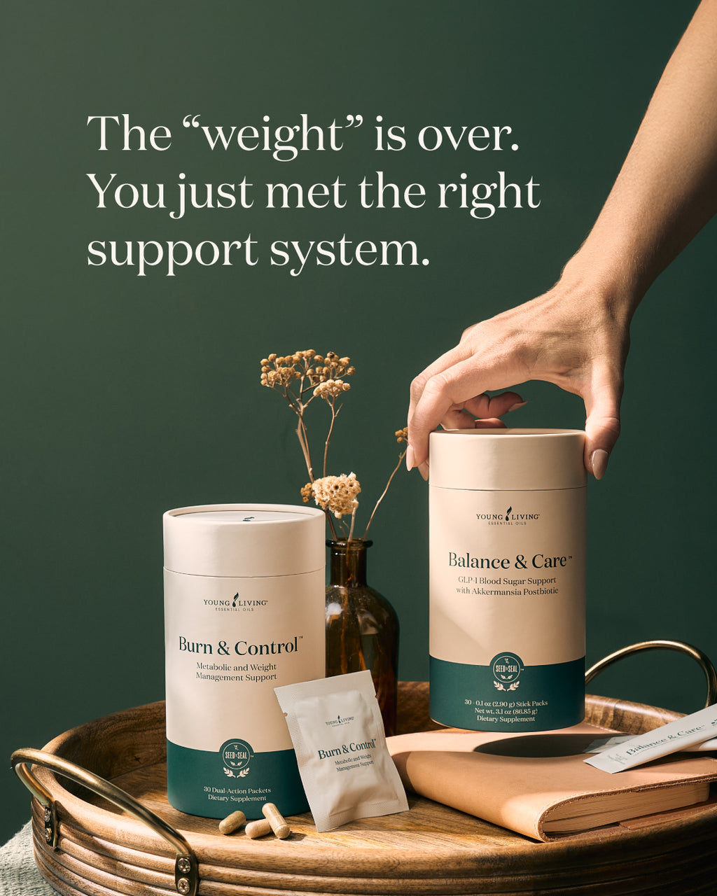 Balance & Burn System