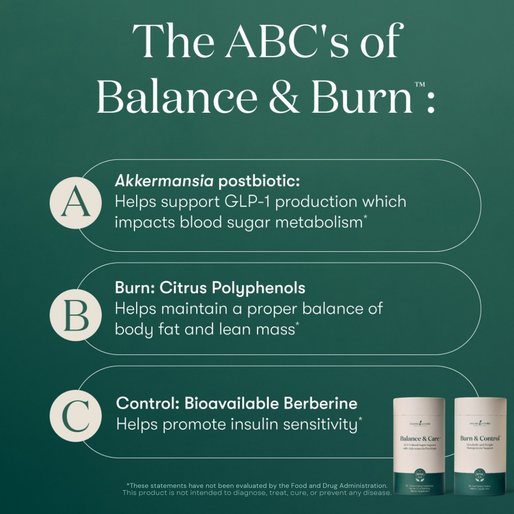 Balance & Burn System
